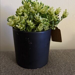 New Elegant Black ceramic Planter with Green Faux Succulents